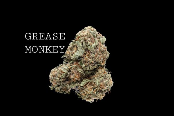 GREASE MONKEY