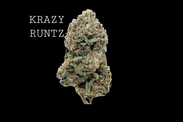 KRAZY RUNTZ