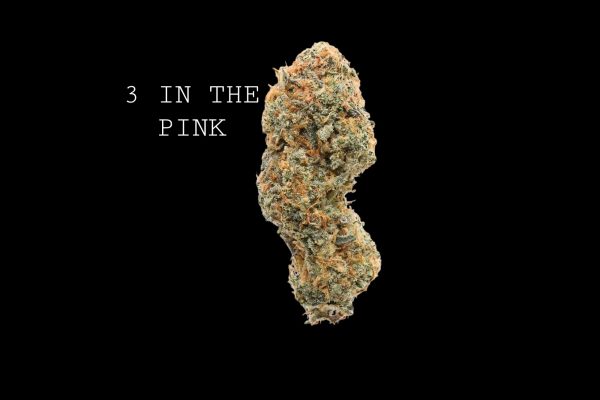 3 IN THE PINK