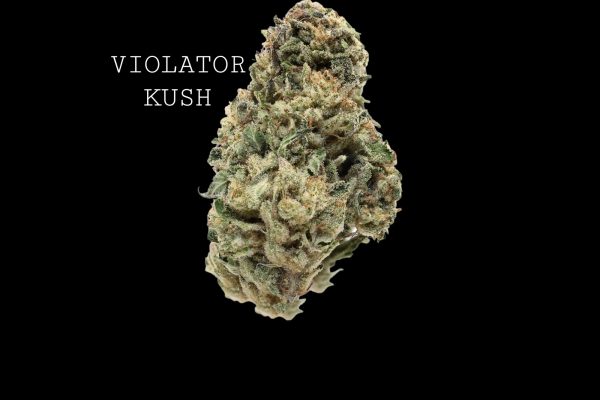 VIOLATOR KUSH