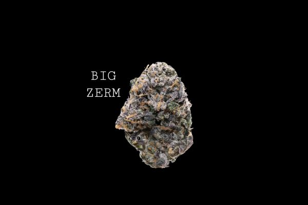BIG ZERM