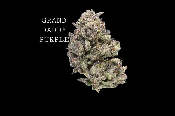 GRANDDADDY PURPLE