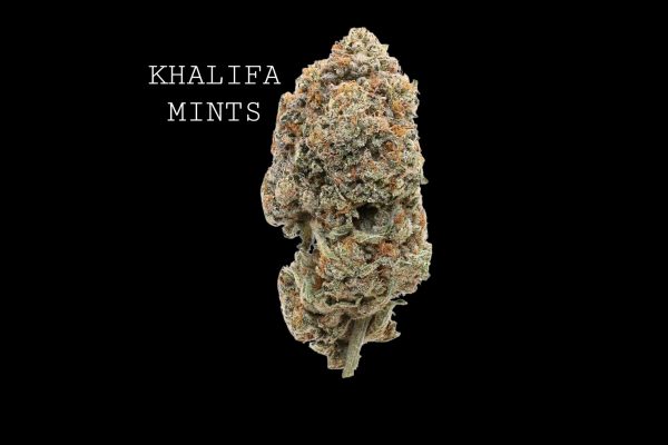 KHALIFA MINTS