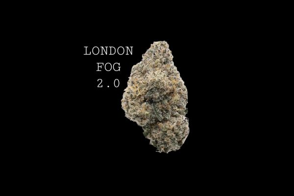 LONDON FOG 2.0