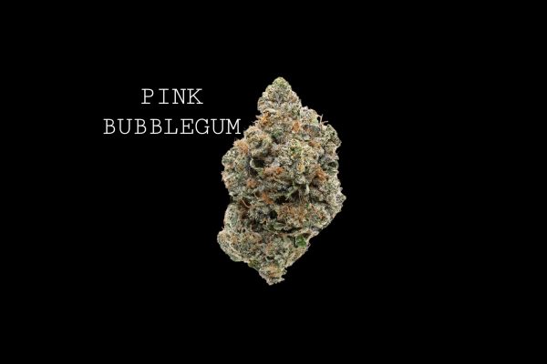 PINK BUBBLEGUM