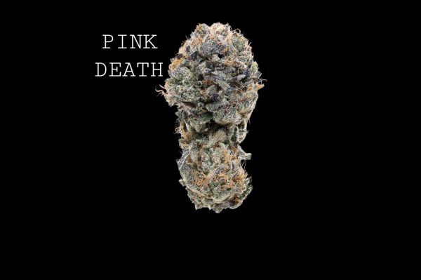 PINK DEATH