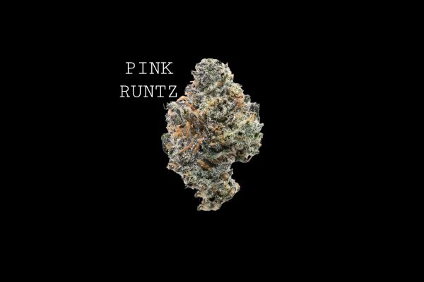 PINK RUNTZ