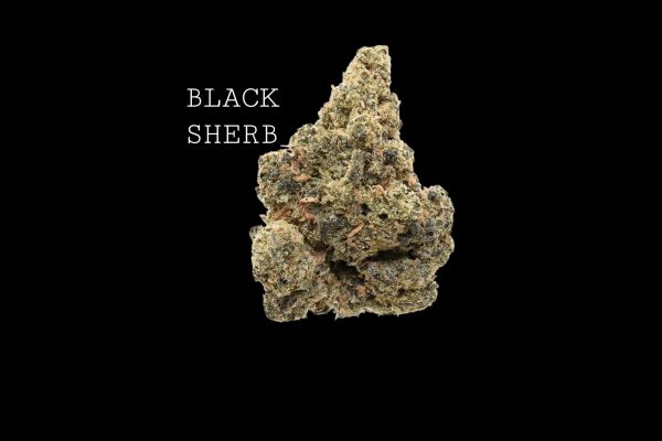 BLACK SHERB