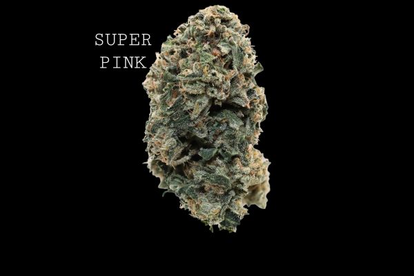 SUPER PINK