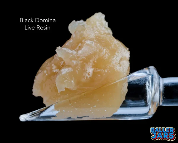 BALLER JAR LIVE RESIN – BLACK DOMINA (5grams)