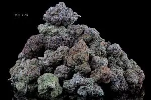MIX BUDS