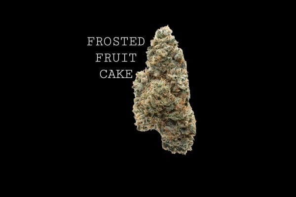 FROSTED FRUIT CAKE - ON SALE!!!