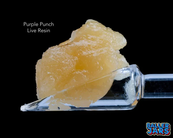 BALLER JAR LIVE RESIN – PURPLE PUNCH (5grams)