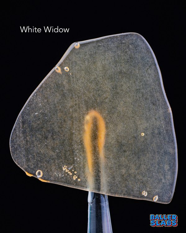 White-Widow BALLER SLAB SHATTER – WHITE WIDOW (5grams)