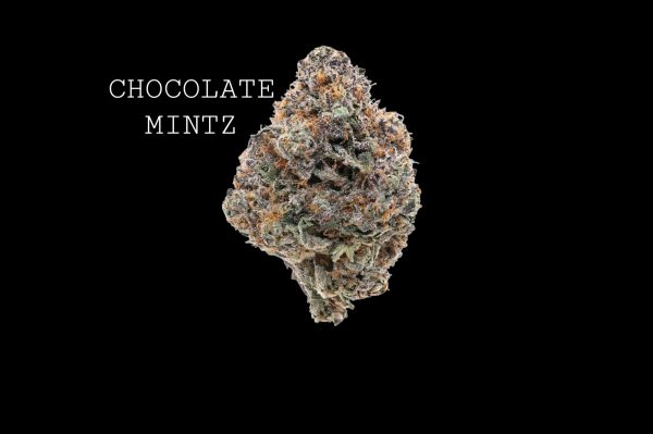 CHOCOLATE MINTZ