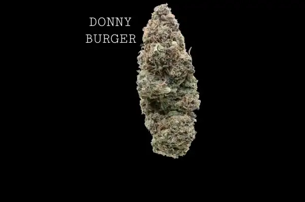 donnyburger-1 DONNY BURGER - ON SALE!!!