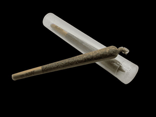 TWO DOOBS IN A TUBE