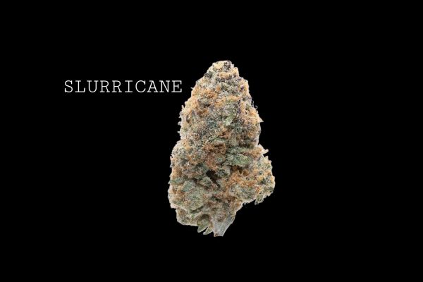 SLURRICANE