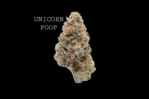 UNICORN POOP