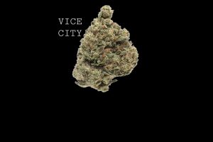 VICE CITY