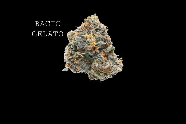 BACIO GELATO