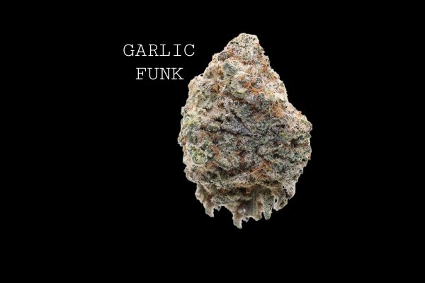 GARLIC FUNK