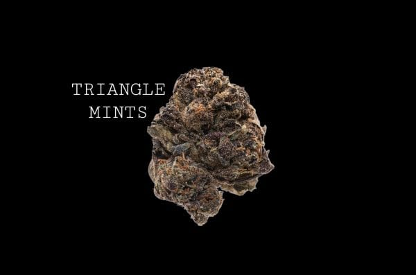 trimint (1) TRIANGLE MINTS - ON SALE!!!