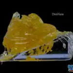 Disty-cc-300825 BALLER JAR DISTILLATE – RAW (28 GRAMS)
