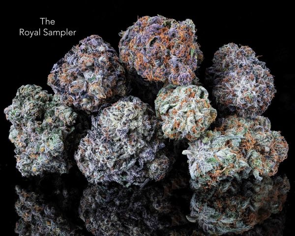 signal-2025-07-03-225332 THE ROYAL SAMPLER *NEW BATCH