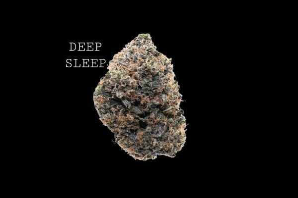 deepsleep (1) DEEP SLEEP - ON SALE!!!