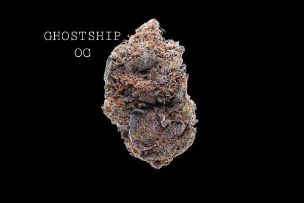 ghostshipog (1) GHOSTSHIP OG - ON SALE!!!