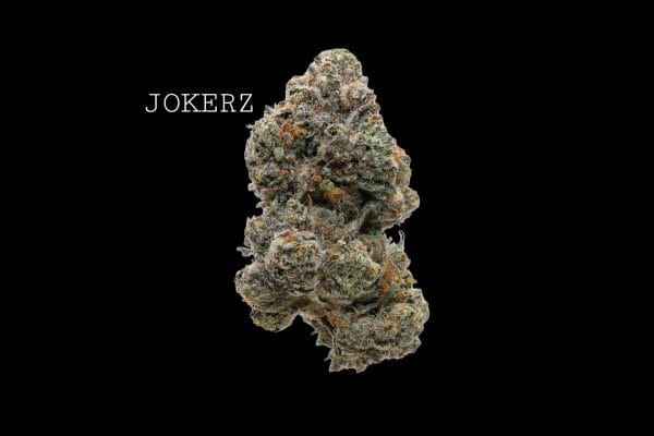 jokers (1) JOKERZ