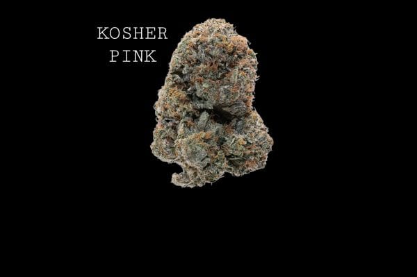 kosher pink (1) KOSHER PINK