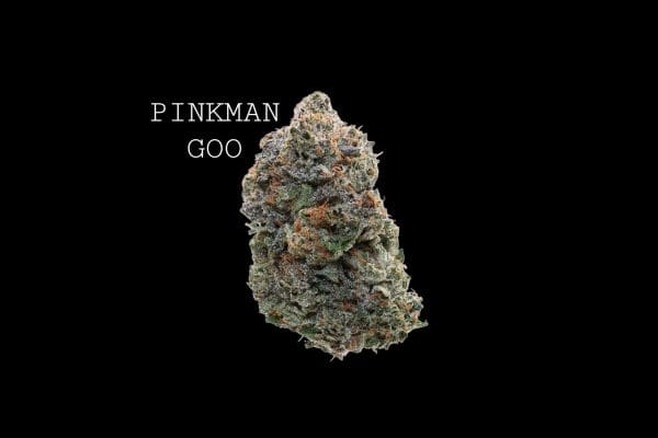 PINKMAN GOO