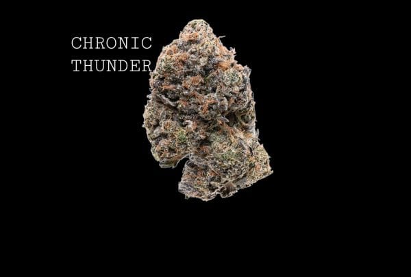 C (1) CHRONIC THUNDER - ON SALE!!!