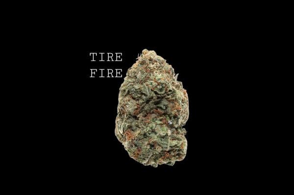 TFire (1) TIRE FIRE