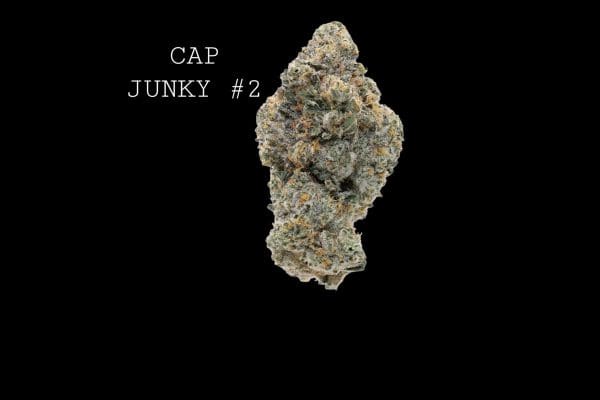 #2 cap junky (1) CAP JUNKY #2