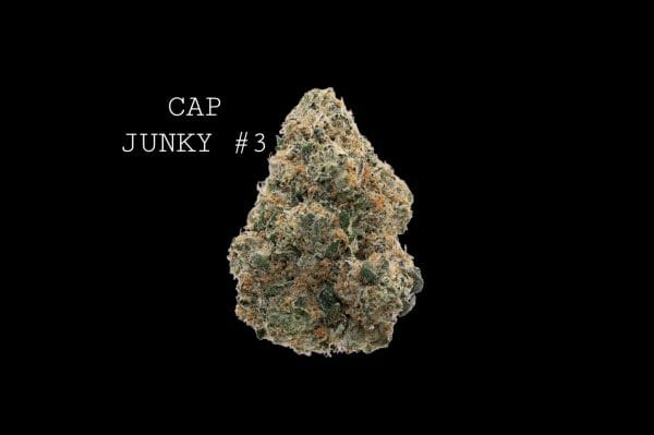#3 cap junky (1) CAP JUNKY #3