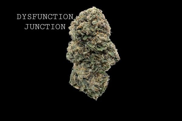 dys2 (1) DYSFUNCTION JUNCTION