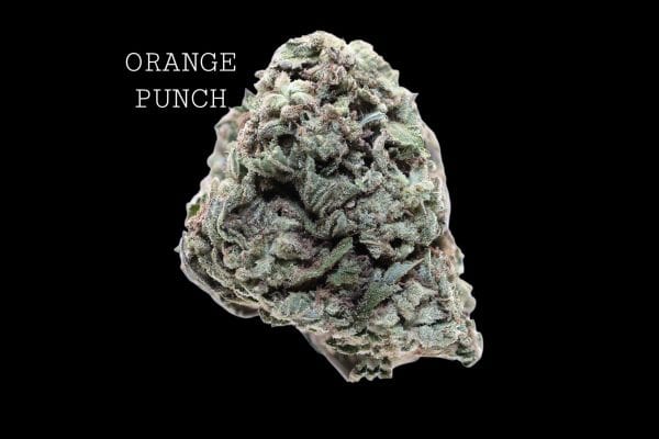 orangepunch (1) ORANGE PUNCH