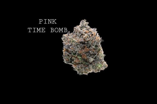pink bomb (3) PINK TIME BOMB