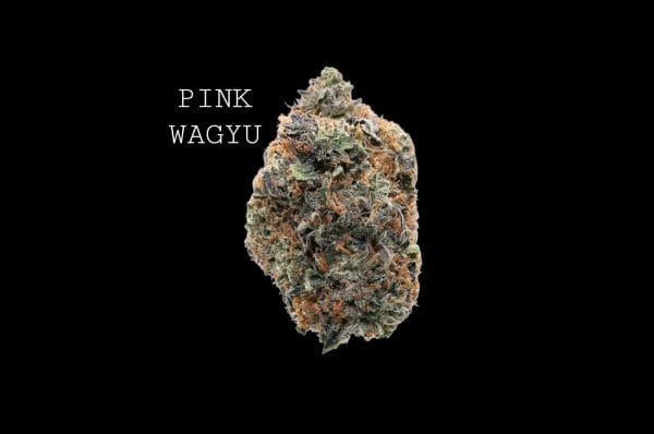 PINK WAGYU