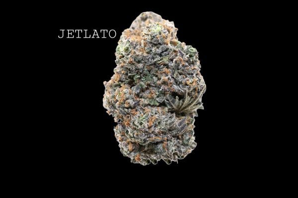 jetlato (1) JETLATO