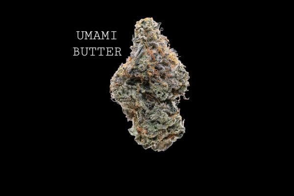 UMAMI BUTTER