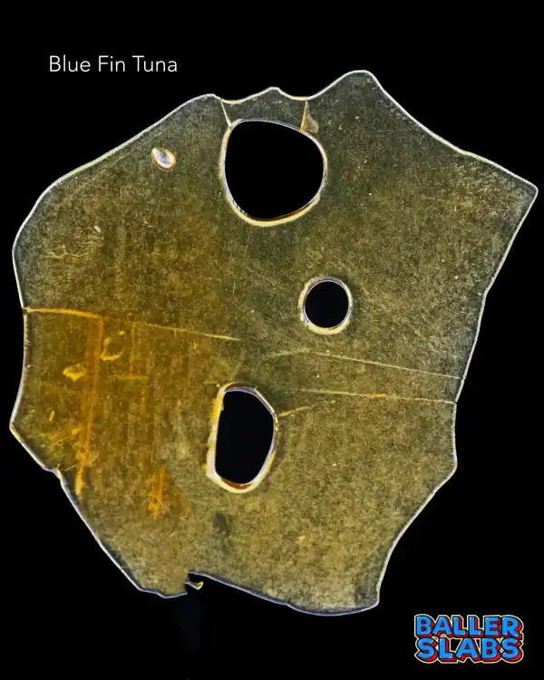 BALLER SLAB SHATTER – BLUE FIN TUNA (5 gram)