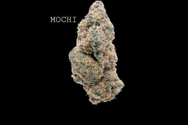 MOCHI