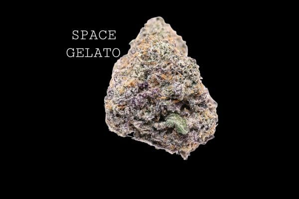 SPACE GELATO - NEW BATCH