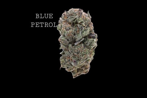 BLUEPETROL (1) (1) BLUE PETROL