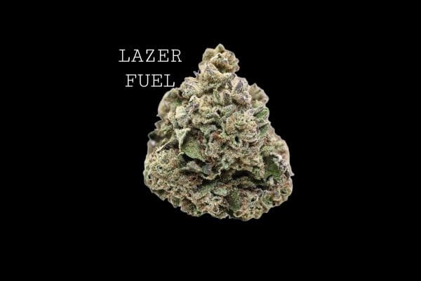 laser fuel (2) LAZER FUEL