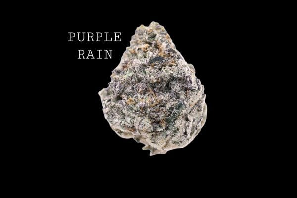 PURPLE RAIN.jpg PURPLE RAIN